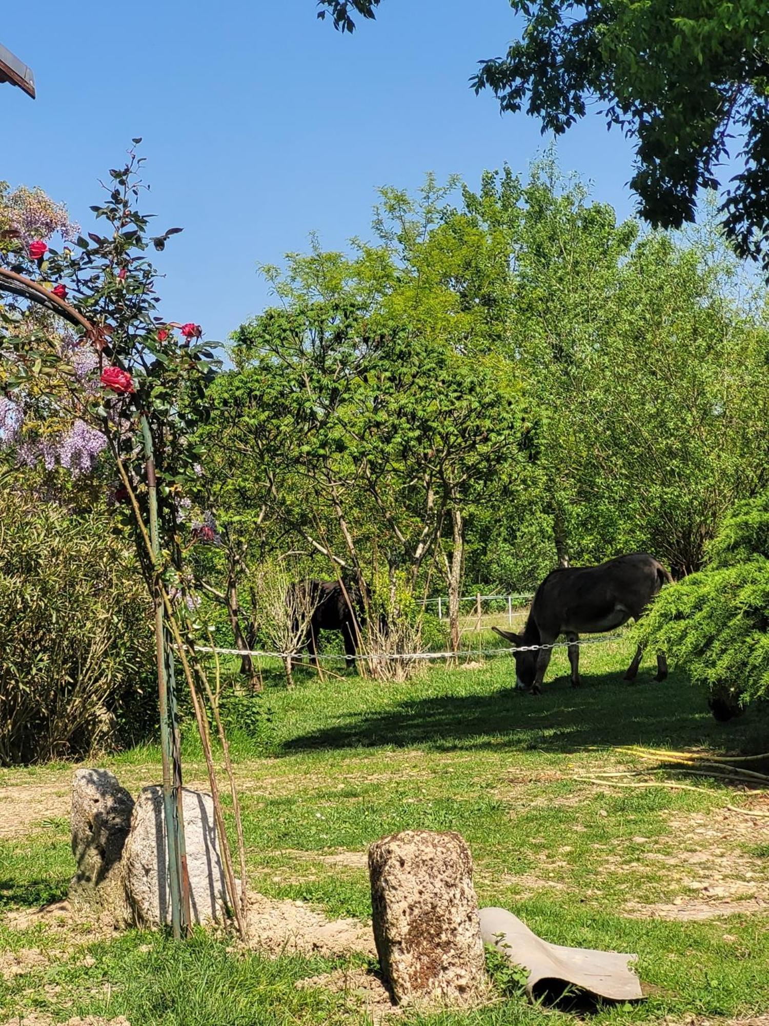 Bed and Breakfast Pey Sud Gaua Sistels Esterno foto